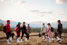 Photo of Практика мессенджерах для начинающих